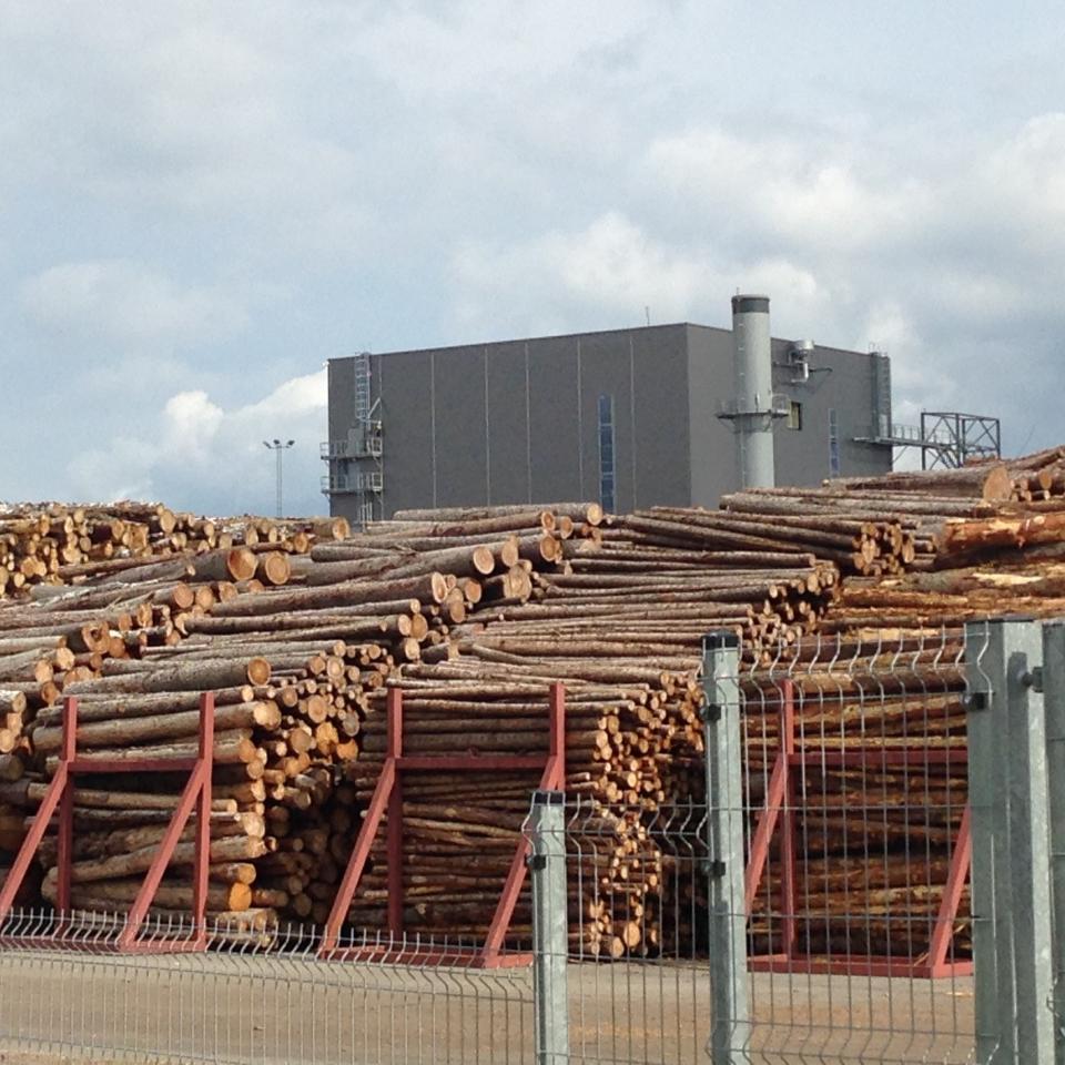 Log yard and plant at Osula Graanul Invest pellet mill in Sõmerpalu, Võru County, Estonia, July 2019. Credit: Peg Putt