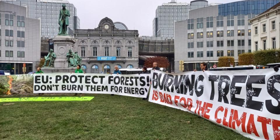 EU should protect the forests