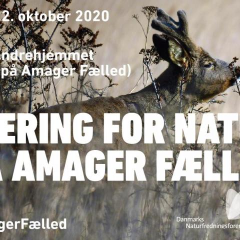 amagerfælled