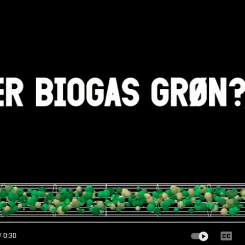 Biogas er ikke grøn