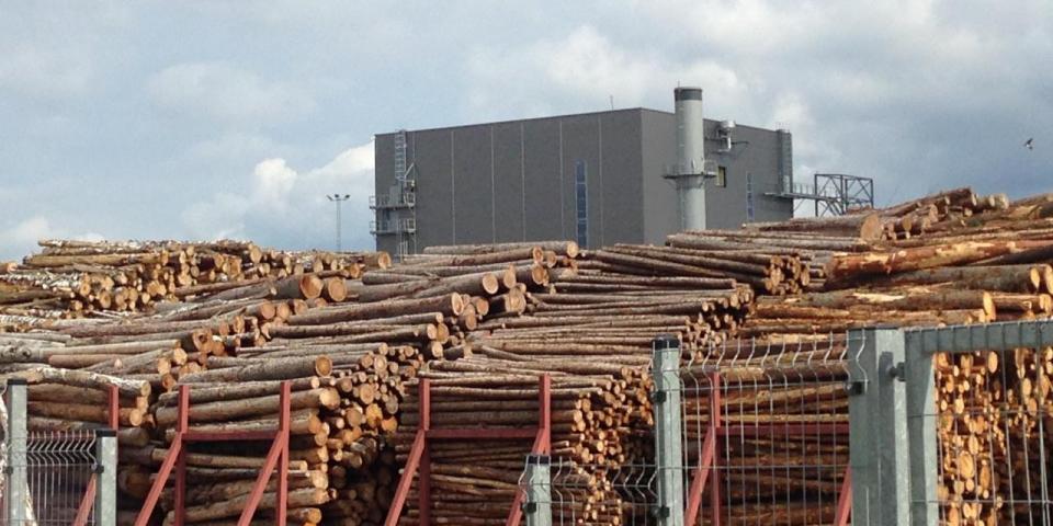 Log yard and plant at Osula Graanul Invest pellet mill in Sõmerpalu, Võru County, Estonia, July 2019. Credit: Peg Putt